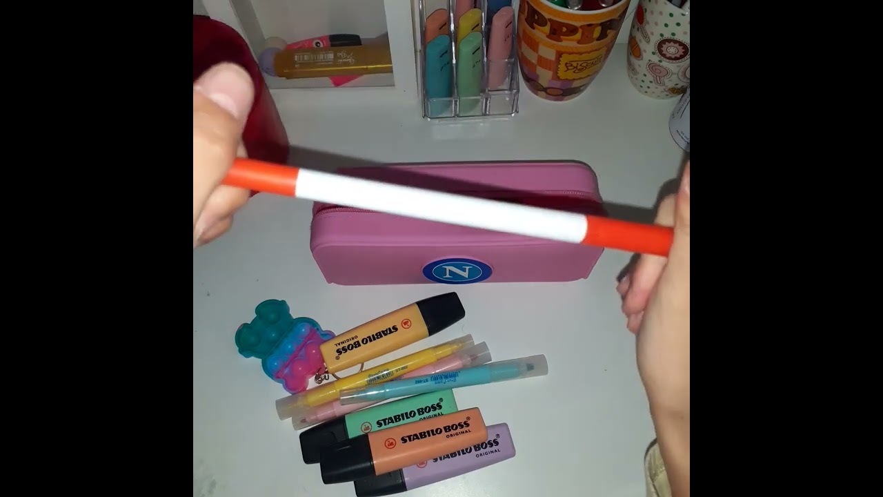 cosa c'è nel mio astuccio!~Noemy