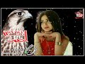 عزف عود نسنس الصوت على لحن الوتر بجودة عالية روووووووعه 