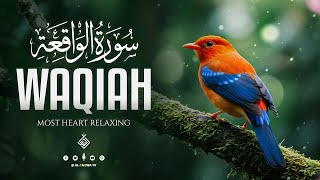 Surah Al Waqiah سورة الواقعة | Find Peace In This Beautiful Calming Recitation | Al-Taqwa TV