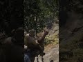 how did my horse survive this#rdr2 #gaming #reddeadredemption #reddeadredemtion2 #arthurmorgan