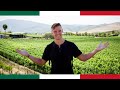 The Napa Valley of Mexico...Welcome to Valle de Guadalupe! (Baja Ep. 2)