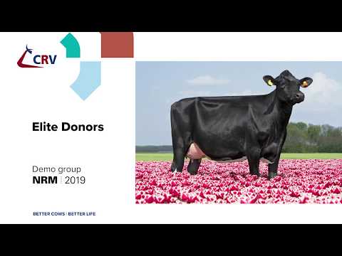 CRV Elite Donors NRM 2019