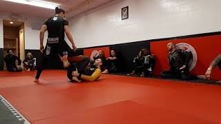 Island Top Team BJJ NoGi Guard Seminar 11