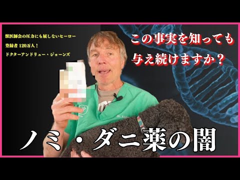 猫のマダニ予防薬は犬用と違う?選び方と絶対NGを徹底解説