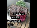 What's In My Bag? Speedy B. 30 Damier Ebene