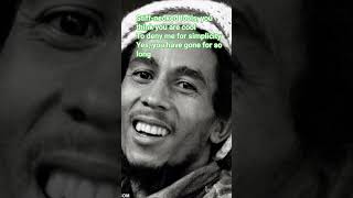 Stiffnecked Fools bobmarley shorts reggae