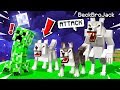 Playing MINECRAFT As A WEREWOLF! (strong)
