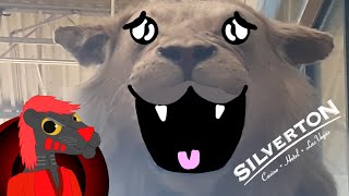 Velvet Goes to the Silverton | Las Vegas by Velvet the Lion 107 views 1 year ago 12 minutes, 7 seconds