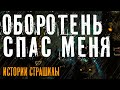 Добрый оборотень в лесу. Мне очень повезло!  история про оборотня