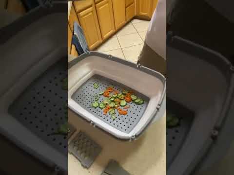Gintan Camping Cutting Board Review, Super Kitchen Product!