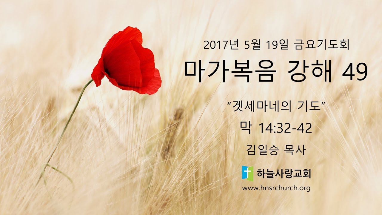마가복음 49 14:32-42 겟세마네의 기도