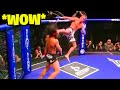 MOST CREATIVE KNOCKOUTS IN MMA HISTORY