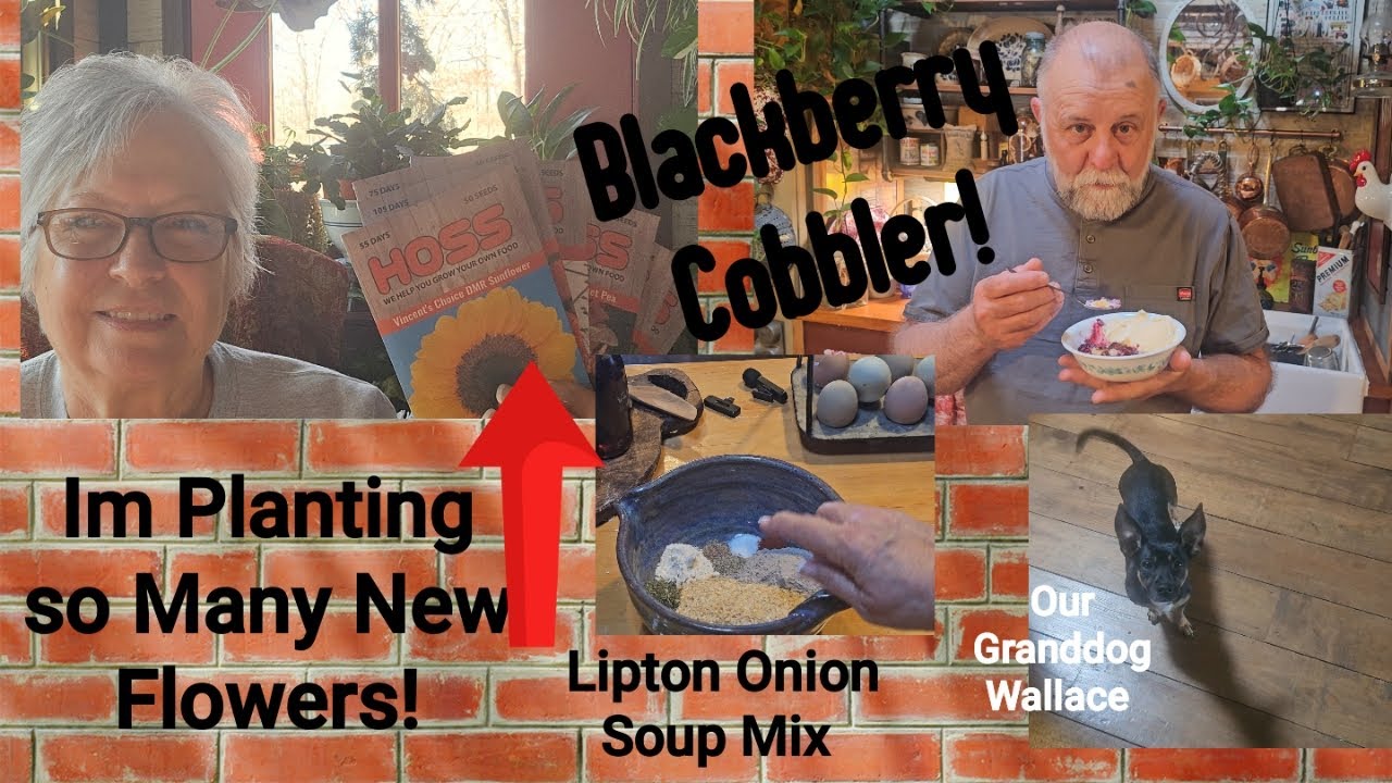 Blackberry Cobbler, New Flowers , Homemade Dry Mix, Granddog Wallace! And Surprise!