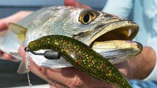 How To Rig & Retrieve Jerk Shads (For Redfish, Snook, Trout, & Flounder)