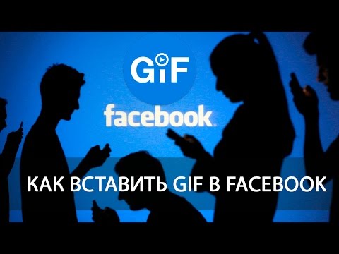 Вопрос: Как опубликовать анимацию (GIF) на Facebook?