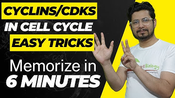 Cyclins and cdks cell cycle regulation | Tricks to remember cyclins and cdks for cell cycle