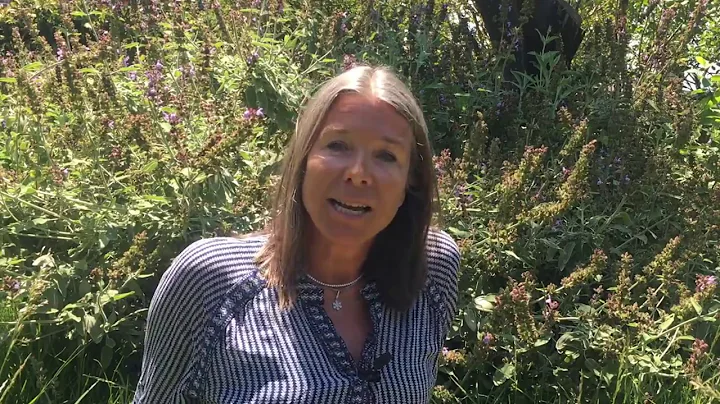 Beth Friberg, Banker shares life experience and he...
