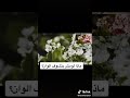 تخيل لو الناس مش شايفة الألوان 