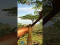 Giveaways on cheats in bio | #cheats   #rust