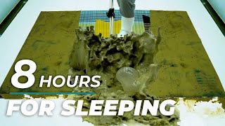 8 Hours Of Magic Carpet Cleaning To Enhance Sleep - Reduce Stress - ASMR Sleep - For Deep Sleep