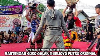 Bantengan Suro Galak Jaranan SRIJOYO PUTRO ORIGINAL Live Mojokrapak Tembelang Jombang