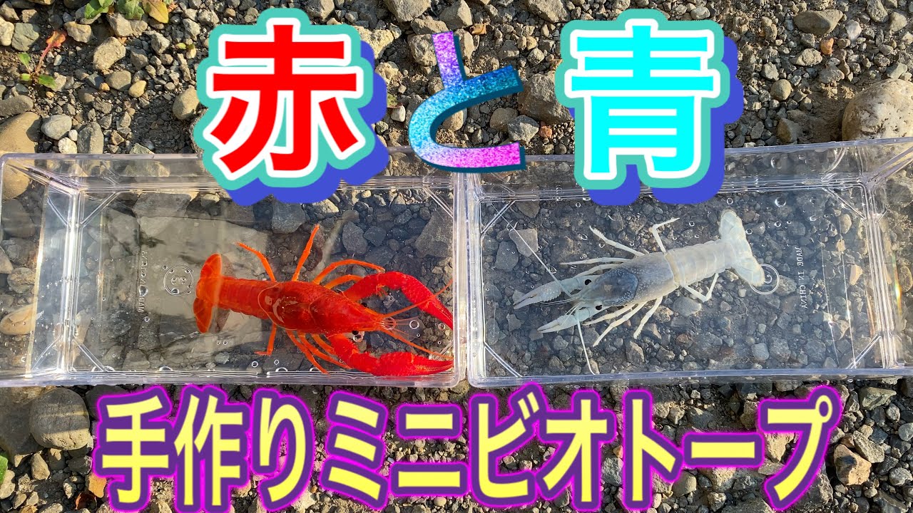 六角ディスプレイを使ったミニビオトープ ザリガニ冬越し Youtube