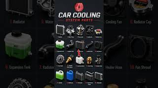 Every Car Cooling Part Explained in 30 Seconds! Every Car Cooling Part Explained in 30 Seconds!
