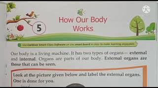 Class II B, E.V.S. Lesson - 5, How Our Body Works