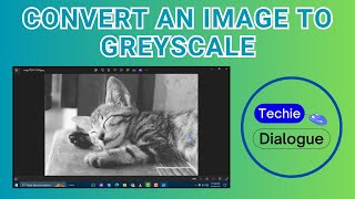 Famous How to Convert an Image to Greyscale Net Worth