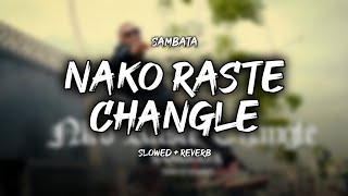 SAMBATA - Nako Raste Changle (SLOWED REVERB)