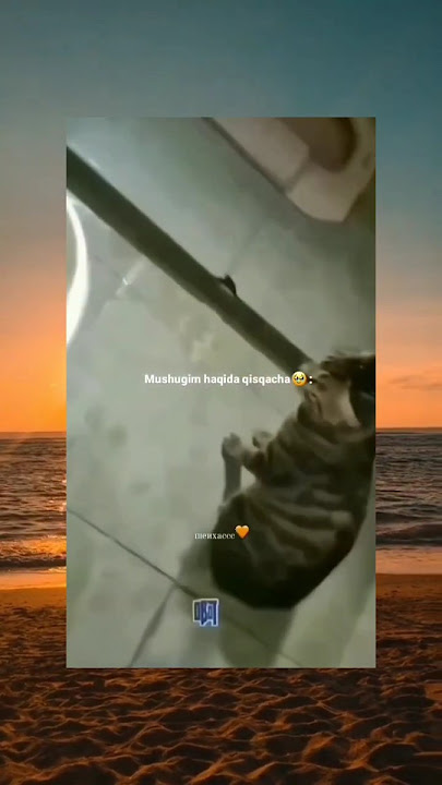 😼:santai dulu gak sih #meme #memes #shorts #shortvideo