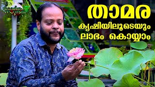 Lotus Cultivation, a potential field to earn lakhs | Haritham Sundaram EP 343