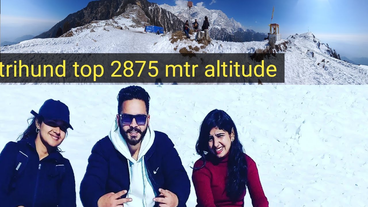 Trihund treak in January 2023 