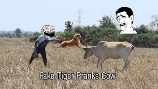 Fake tiger prank cow | Fake tiger vs Cow| Cow prank 2021 so funny Ep 2