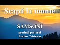 Samsoni - Lucian Crsitescu