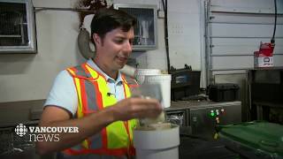 Plastics ban: B.C. businesses react to government's plan