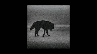 Fi Tarihi (Remix)