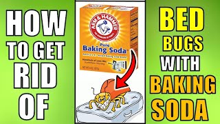 How Do You Use Baking Soda To Kill Bed Bugs Fast