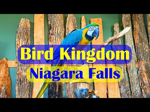 Niagara Falls Bird Kingdom