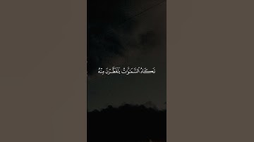 سورة مريم - القارئ : سعود الفايز #quran #قرآن