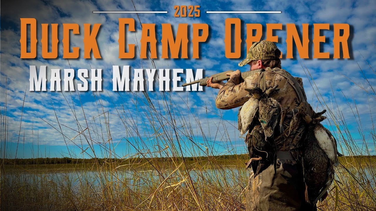 Открытие охоты на водоплавающую дичь 2025 | Открытие утиного лагеря | Хаос на болоте