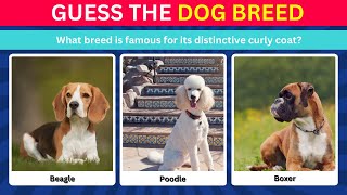 Guess the Dog Breed Challenge: Can You Identify Them All?