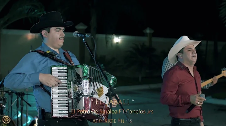El Potro De Sinaloa Ft. Canelos Jrs - El Jabali (En Vivo 2018)