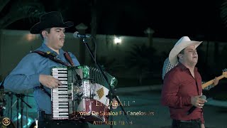 Video thumbnail of "El Potro De Sinaloa Ft. Canelos Jrs - El Jabali (En Vivo 2018)"