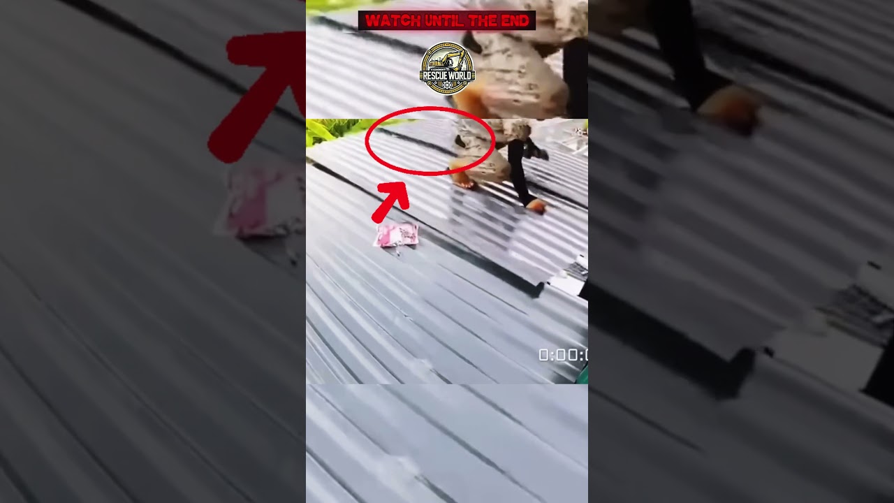Roof Suddenly Shifts… Worker Falls With It! 