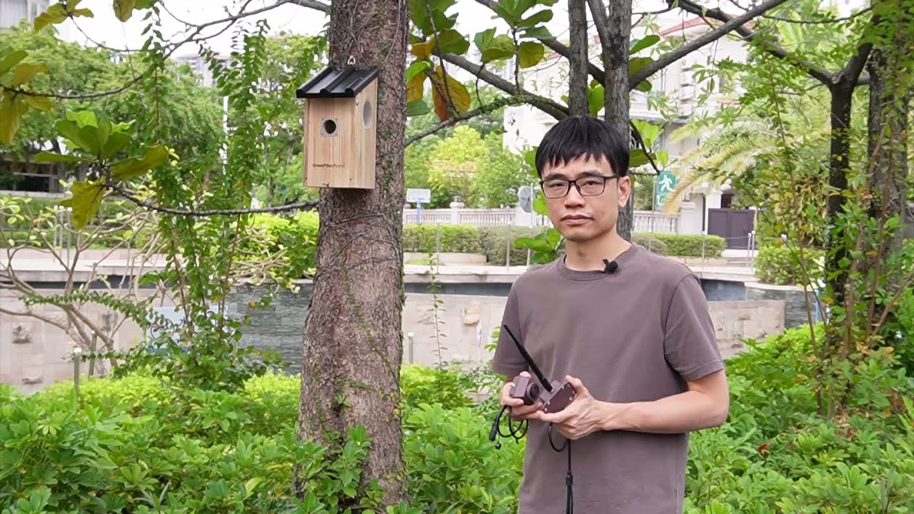 Long Range Wireless Bird Box Camera Review - YouTube