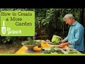 How to Create a Moss Garden