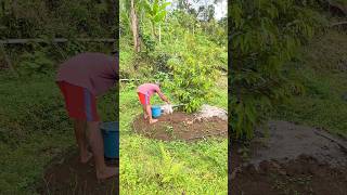 Durian yang dipanen Hari ini Bukan dari Tanam kemarin Sore ☺️✅