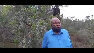 Petros Majola silapha kulendawo kaShort division lona ebebulele Emihle & Anako
