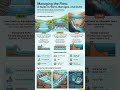 Weirs vs Barrages vs Dams | Know the Difference
